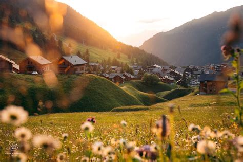 The Alps In Summer 10 Things You Need To Know Before Visiting