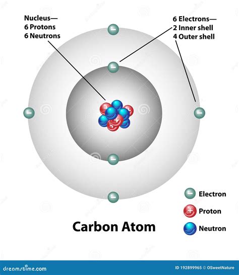 Étiquettes De Structure Moléculaire Datome De Carbone Illustration De