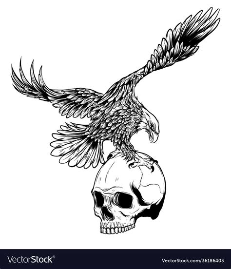 Eagle And Skull Design Art Royalty Free Vector Image