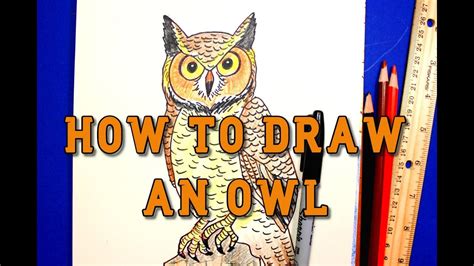 How To Draw A Great Horned Owl Step By Step Tutorial Youtube