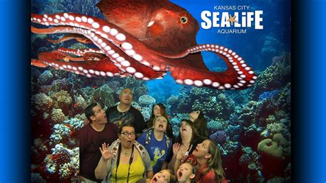 Legoland Discovery Center Kc Sea Life Aquarium T Rex Cafe Youtube