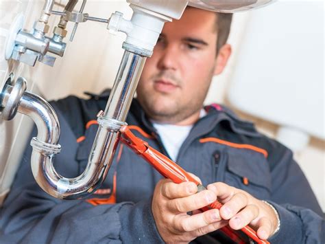 5 Things Your Plumber Isnt Telling You Chatelaine