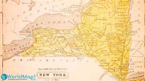 High Detailed New York Map
