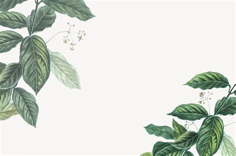 Tropical Botanic Leaves Background Illustration Premium Image By