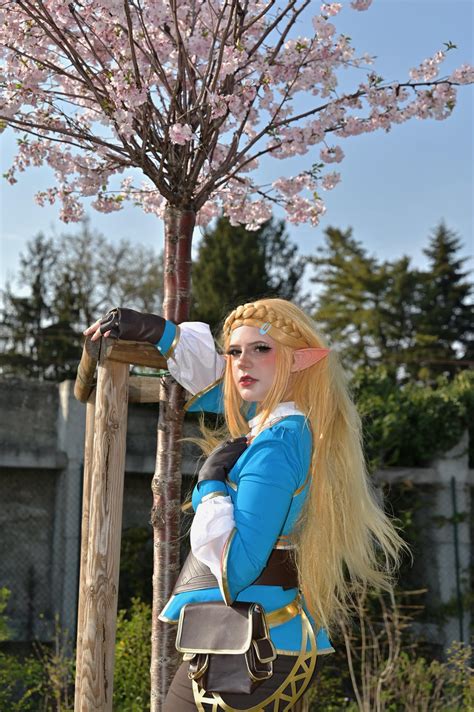 Botw My Zelda Cosplay