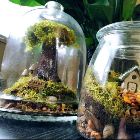 Check spelling or type a new query. Amazing Huge Waterfall Terrarium with Raku Fired Miniature | Etsy | Beautiful terrariums, Fairy ...