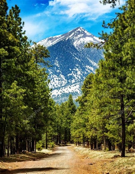 Flagstaff Arizona Road To Mountains — Stock Photo © Adogslifephoto
