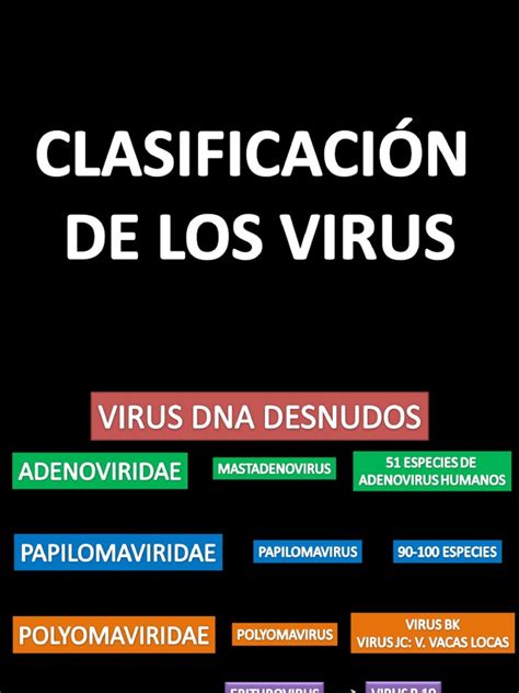 ClasificaciÓn De Los Virus Virus Organismos