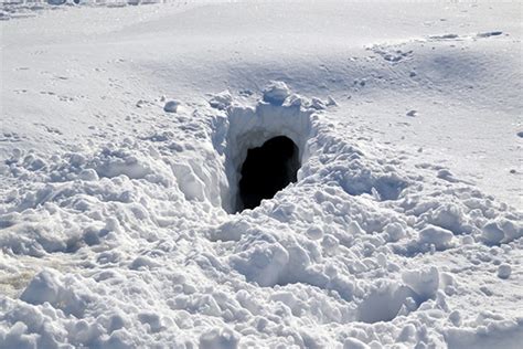 Know How To Build A Snow Cave When You Need It Survival Mastery