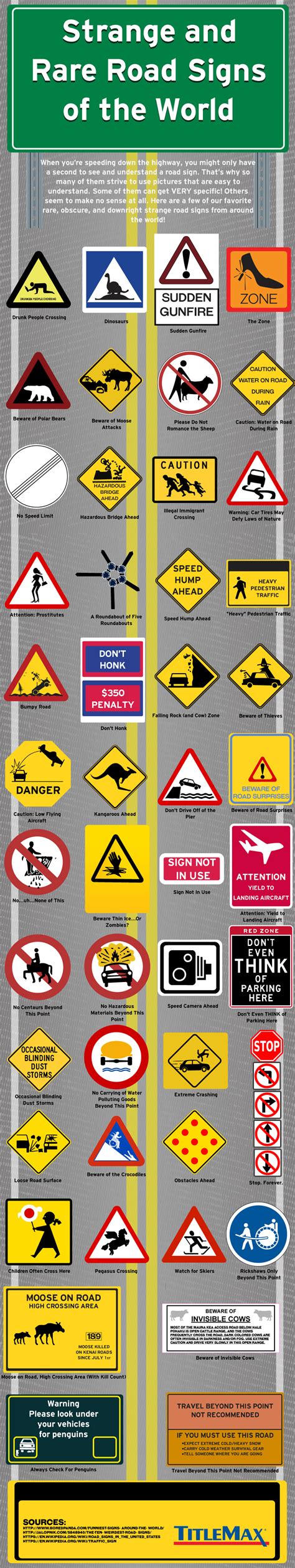 Weird And Rare Traffic Signs From Around The World Infographic