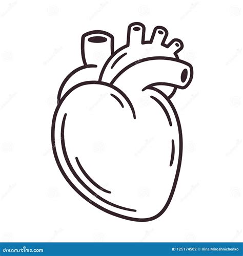Realistic Cartoon Heart Drawing