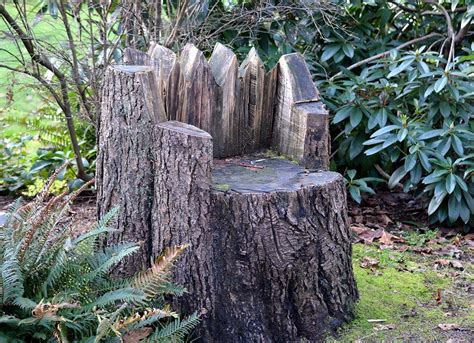 Tree Stump Ideas That Will Blow You Away Bob Vila