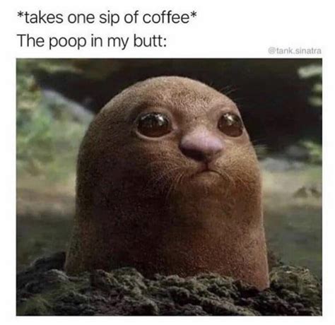 The Best Poop Memes Memedroid