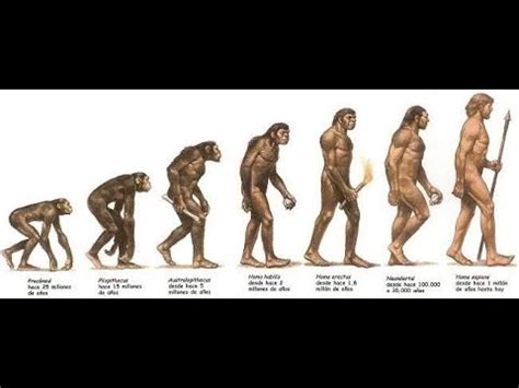 Documental Sobre La Evoluci N Del Homo Sapiens Youtube