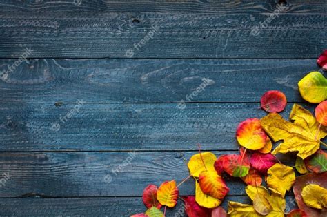 Premium Photo Colorful Autumn Leaves Over A Wooden Background