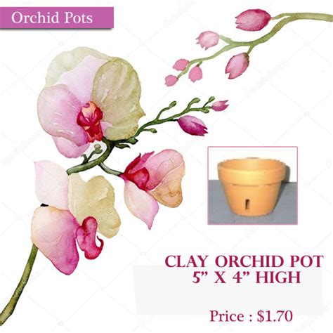 Orchid spike clips virgin cork bark. Florida Orchid Supplies: Beautiful Orchid Pots to Decorate ...