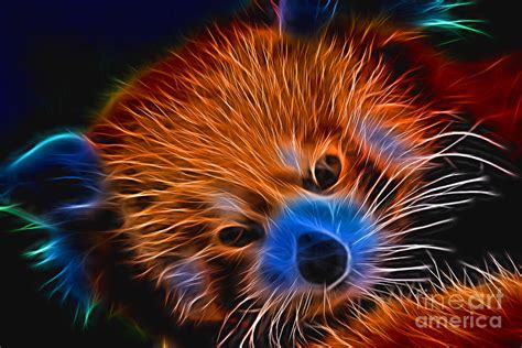 Flaming Panda Digital Art By Ray Shiu