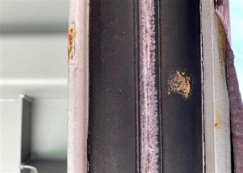 For use on fruit, nuts, evergreens, woody shrubs, shade trees, vegetables this product will also help delay blooming on peach trees in the spring. Baltimore CBP Detects Destructive Japanese Gypsy Moth Egg ...