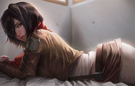 wallpaper anime anime sasha attack of the titans mikasa attack on titan mikasa sasha aot