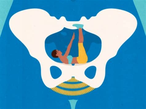 What Is Pelvic Floor Muscle Training Dr Morris