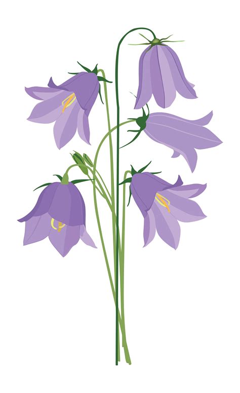 Free coreldraw vectors (.cdr) files of flowers. Flowers isolated. Floral summer bouquet. 530977 - Download ...