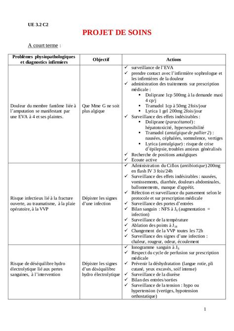 Exemple De Projet De Soins Projet De Soins Modèle Jailbroke