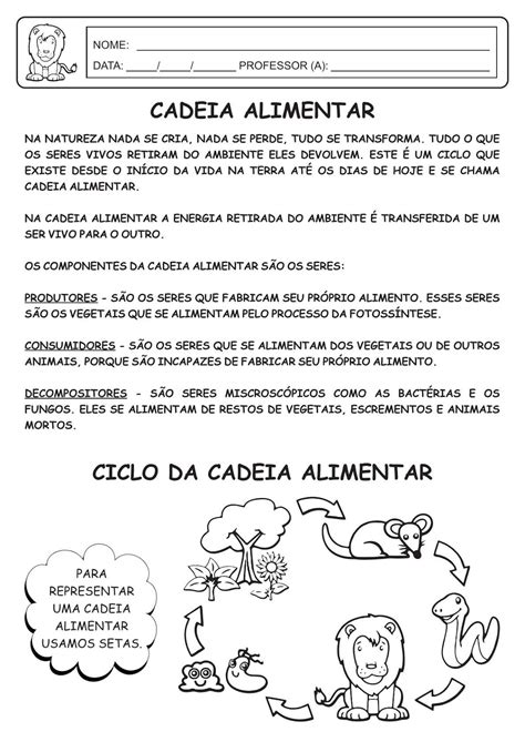 Exercícios Sobre Cadeia E Teia Alimentar