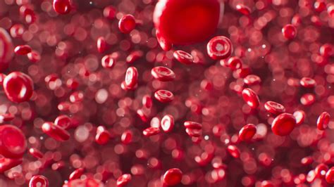 What Is Aplastic Anemia