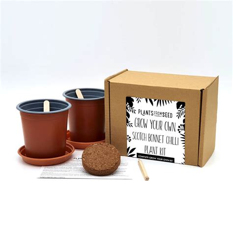 Complete Grow Your Own Scotch Bonnet Chilli Plant Kit By Plants From