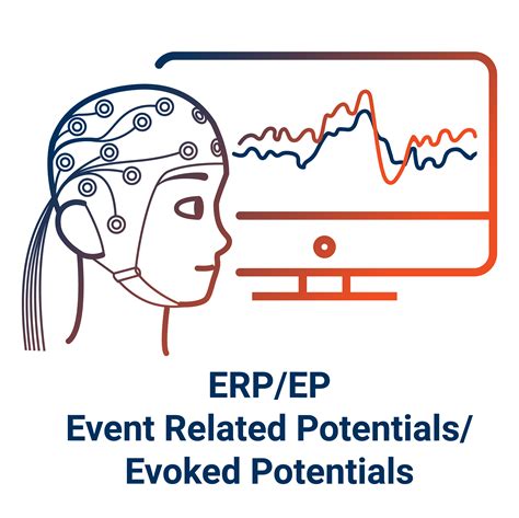 Erpep Event Related Potentials Evoked Potentials Brain Vision