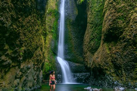 Everything You Need To Know About The Oneonta Gorge Hike Elite Jetsetter