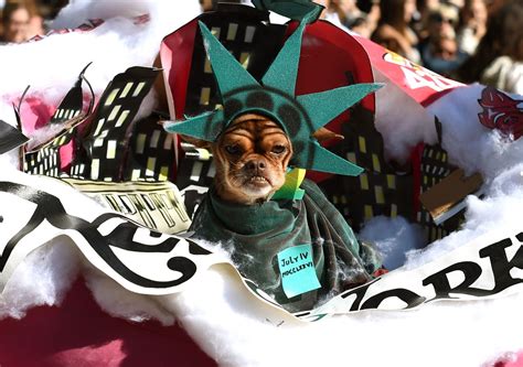 The Best Costumes From The 2014 Tompkins Square Park Dog Parade Observer