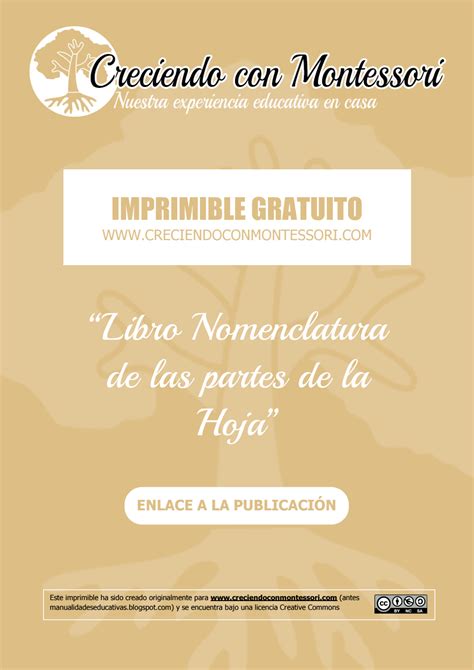 Sign in to continue to google drive. Mini Libro de las partes de la hoja para completar ...