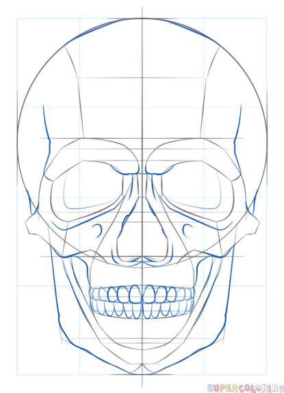 How To Draw A Human Skull With The Head And Face In Perspective Step