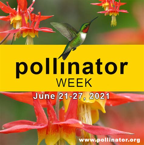 National Pollinator Week 2021 Label Gator