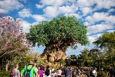 Visit Disney Animal Kingdom Park In Orlando Vacome Luxury Rentals