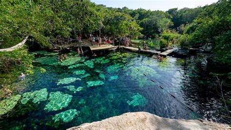 Tulum, on the east coast of the yucatan peninsula in southern mexico, was an important mesoamerican centre which displayed both maya and toltec influence. 15 Best Cenotes near Tulum (2021) | The Whole World Is A ...