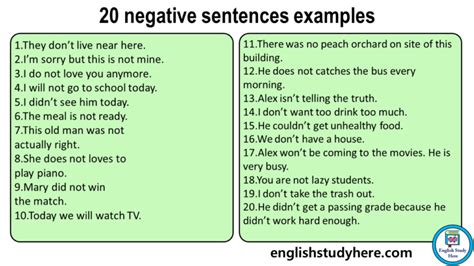 20 Negative Sentences Examples English Study Here