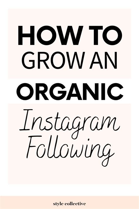 Tips For Growing An Organic Instagram Following Excerpt From The Blog
