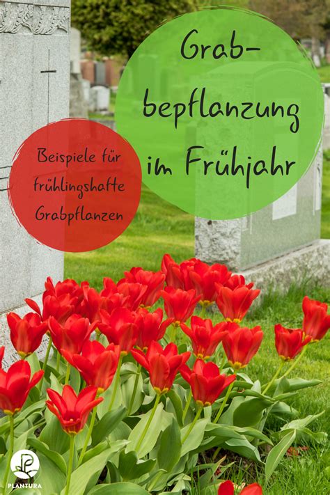 Ideen, bilder und beispiele für die grabbepflanzung und grabgestaltung. Grabbepflanzung im Frühjahr: Beispiele für frühlingshafte ...