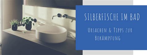 Sind silberfische in der wohnung, besteht kein recht auf eine mietminderung. Silberfische im Bad - Was tun? | Ursache & Express Bekämpfung!