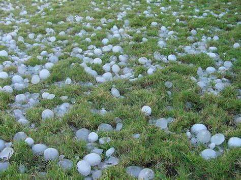 7 Facts About The Biggest Hailstone Biggestverse