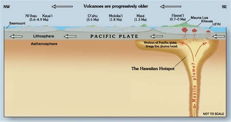 Hot Spots Plate Tectonics Hot Spot Plate Tectonic Theory