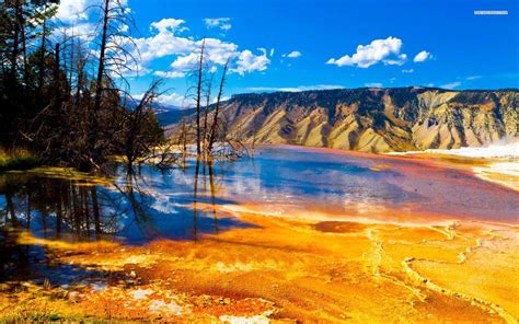 Yellowstone National Park Wallpapers Top Free Yellowstone National