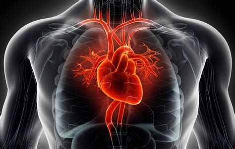 During whatever event or concert, parking fee will rinse. You Need To Start Adding Heart Rate Training To Your ...