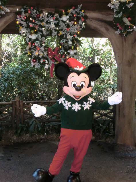 Unofficial Disney Character Hunting Guide Holiday Characters Now