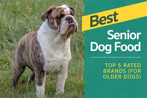 Best Senior Dog Food Top 5 Rated Brands For Older Dogs