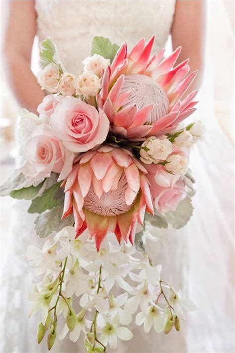 Perfect Pink Protea Wedding Bouquet Weddingbouquet Pinkprotea