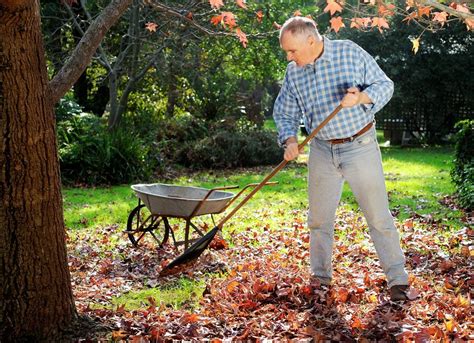 Which Direction To Rake 10 Leaf Raking Tips No One Ever Taught You