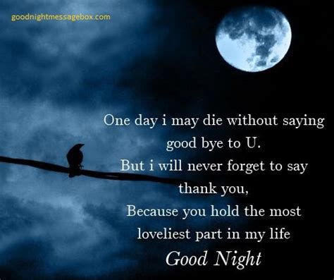 Before you go to sleep, just want to let you know i am thinking about you. Best 50 Good Night Love Messages For Cute Girlfriend ...